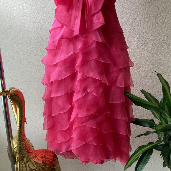 Pronovias Pink Ruffle Formal Dress - Picture 10 of 17